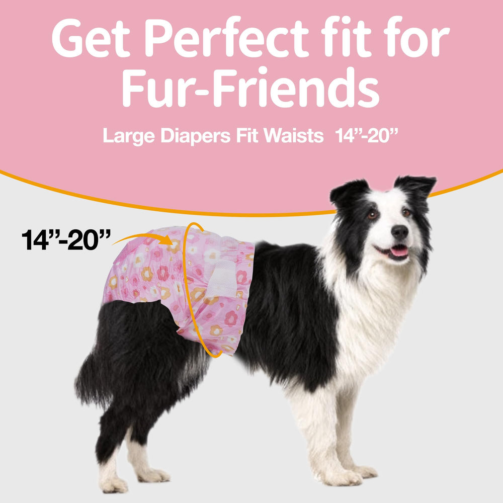 Pet Soft panales para perras femeninas, ajuste de cintura