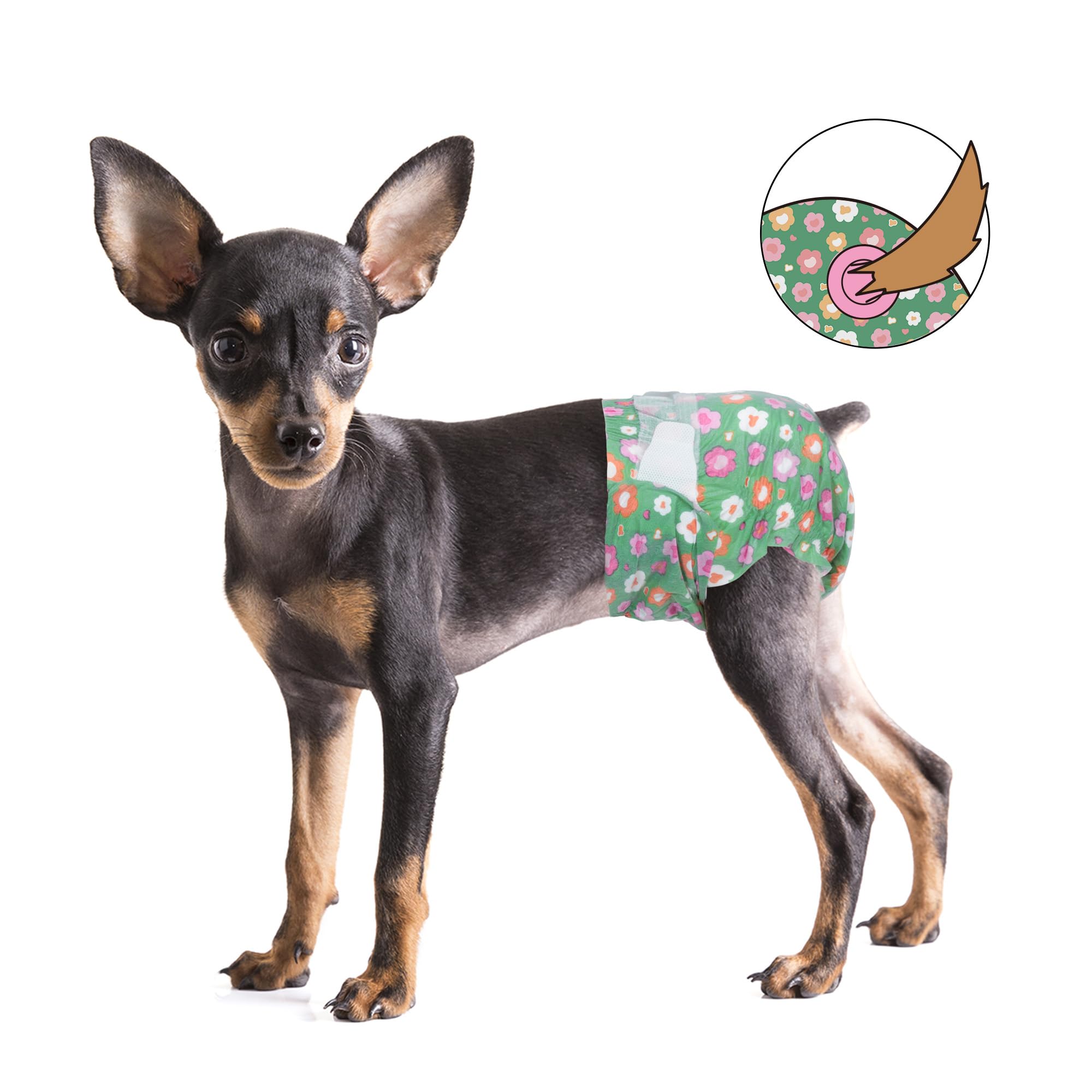 Pañales Pet Soft ajuste rápido y sencillo, puesta y retirada sin estrés.