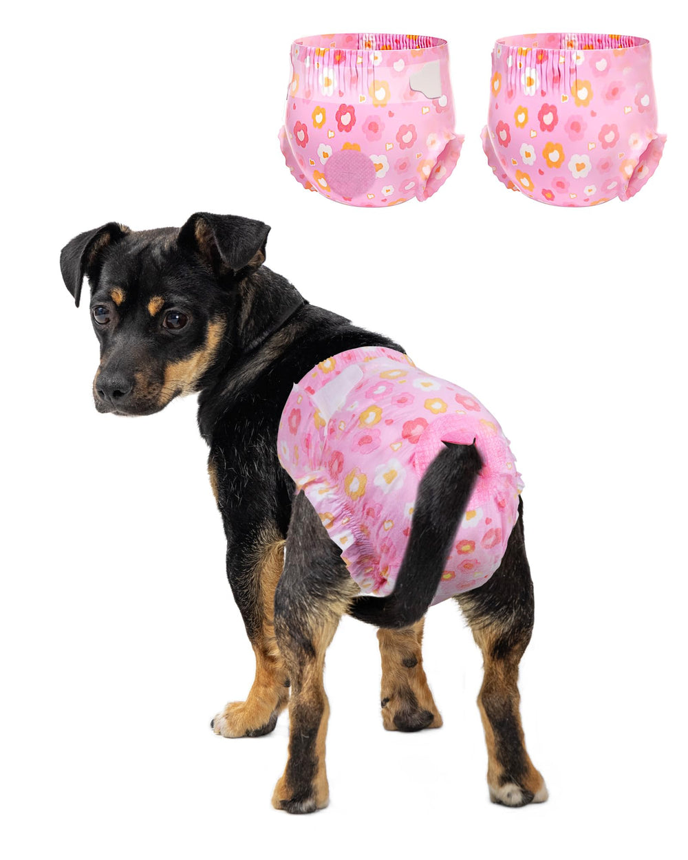 Pet Soft pañales para perros femeninos rosa con ajuste cómodo y diseño floral.