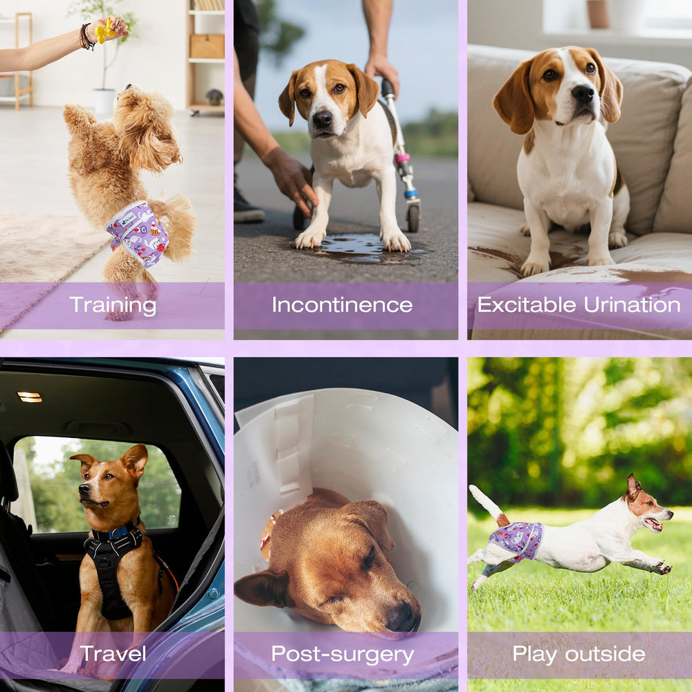 Pañales Pet Soft fáciles de poner y quitar para dueños ocupados.