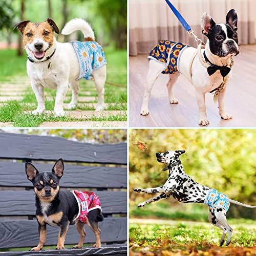 Pet Soft pañales flores XL, pack de 3, ahorro económico razonable.