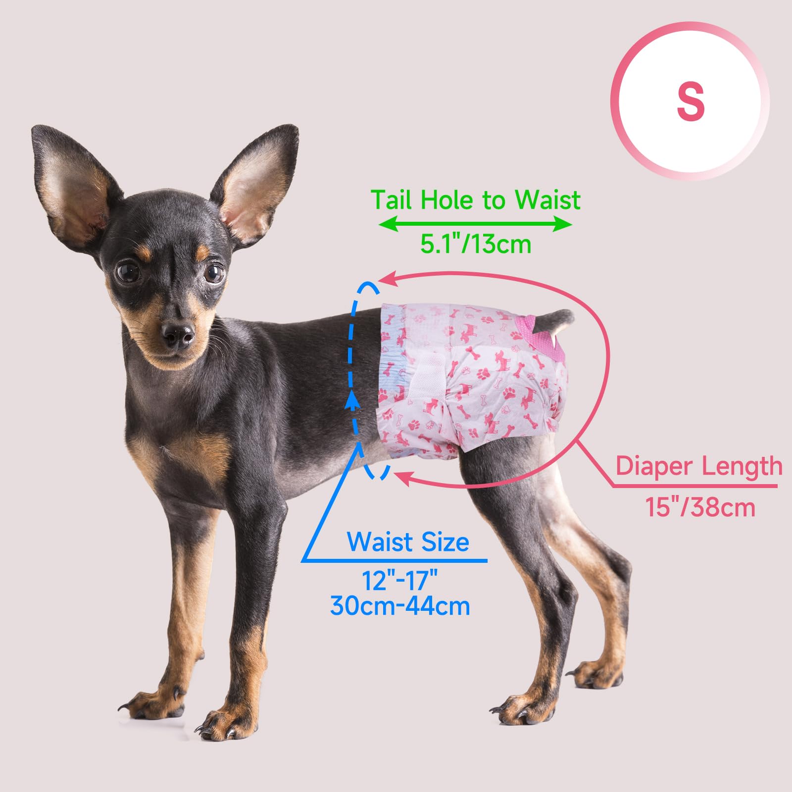 Pet Soft talla S para perros pequeños, ajuste cómodo.