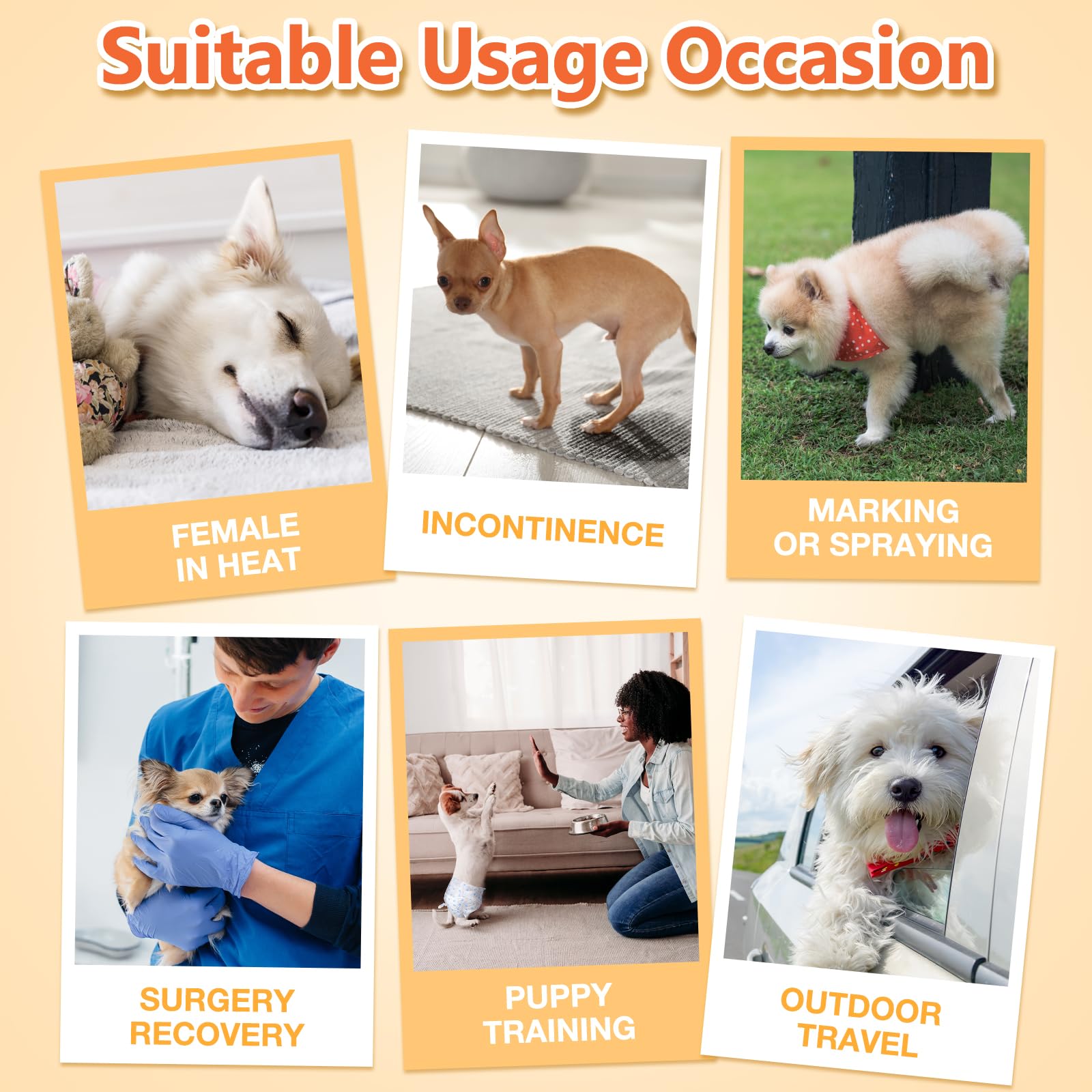 Pañales Pet Soft útiles para hembras en celo o incontinencia leve.