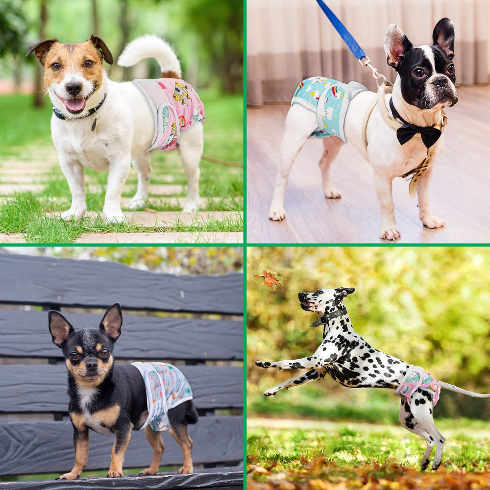 Pañales Pet Soft con diseños divertidos para cada día.