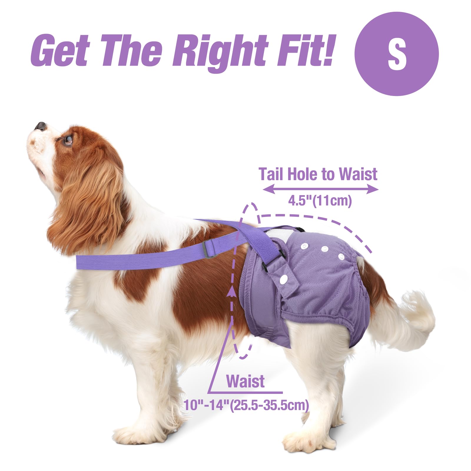 Pet Soft panales para perros femeninos con absorción alta y diseño transpirable