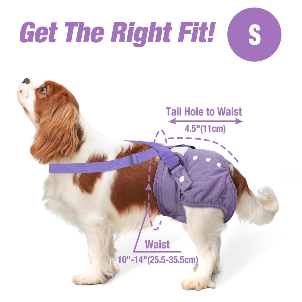 Pet Soft panales para perros femeninos con absorción alta y diseño transpirable