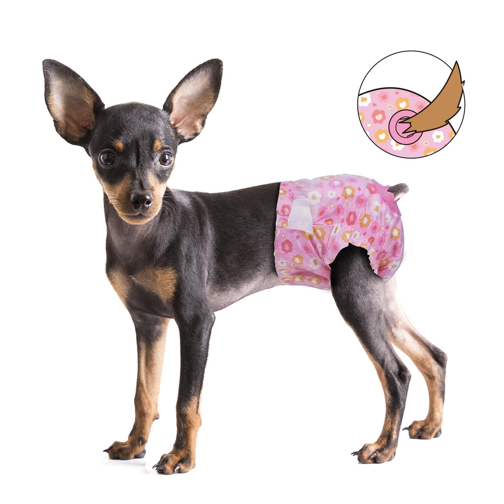Pet Soft paquete de 12 unidades, ideal para uso diario de hembras.