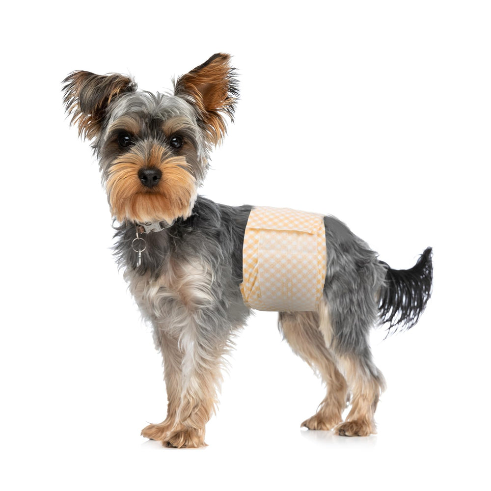 Pet Soft envolturas para perros machos: servicio al cliente atento, respuesta en 24 horas.