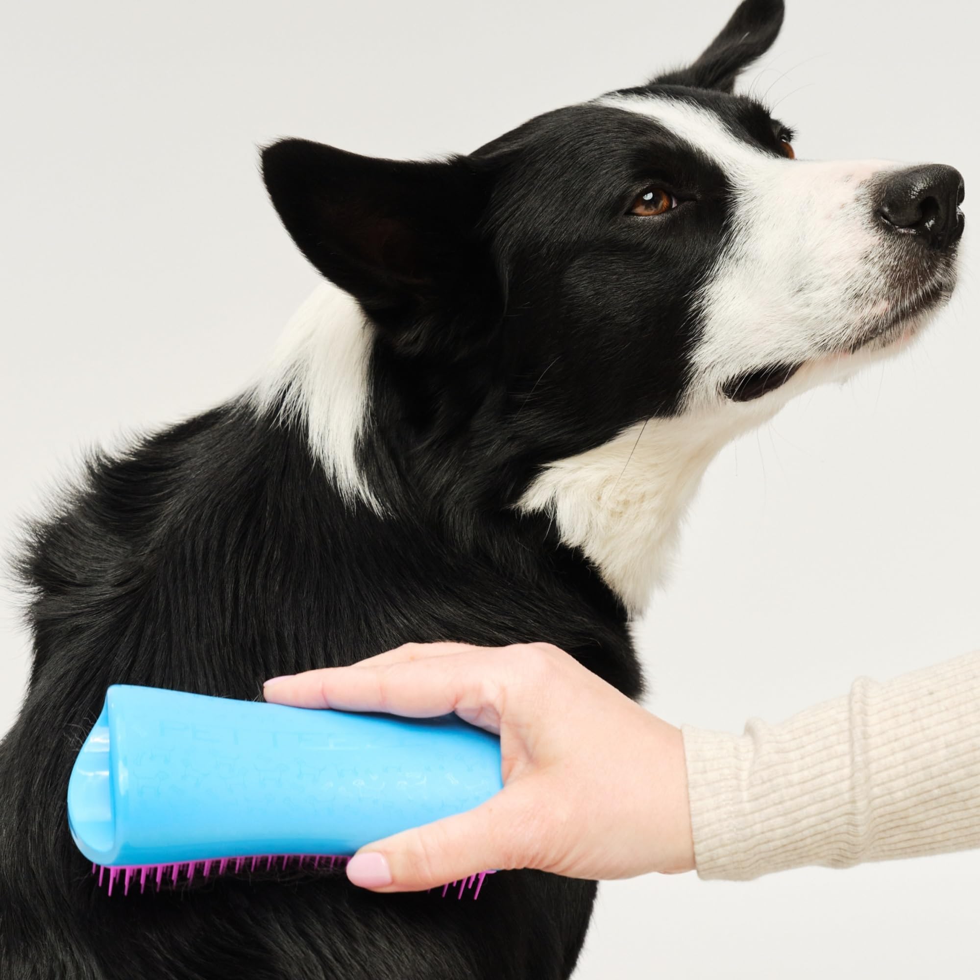 Pet Teezer cepillo ergonómico para perros, reduce esfuerzo en sesiones largas.