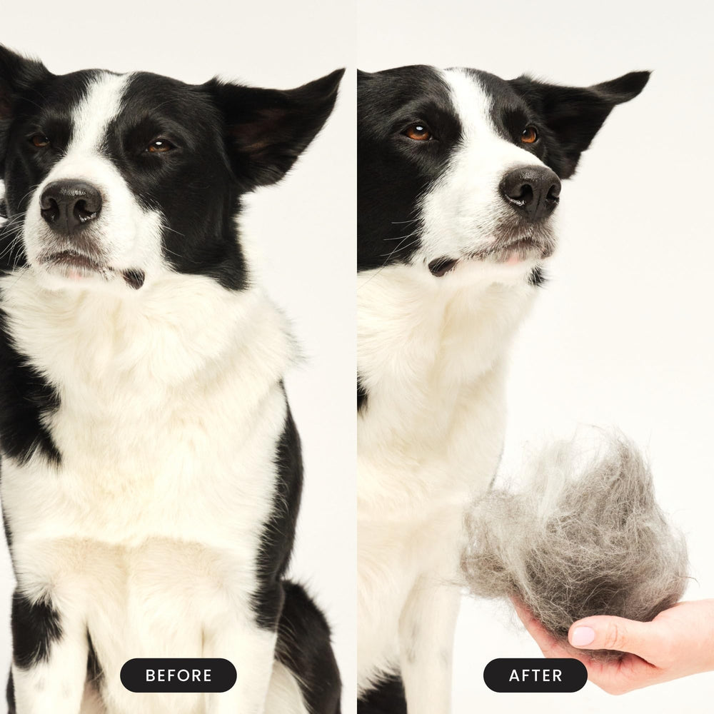 Pet Teezer cepillo fácil de limpiar, basta retirar pelo y enjuagar.