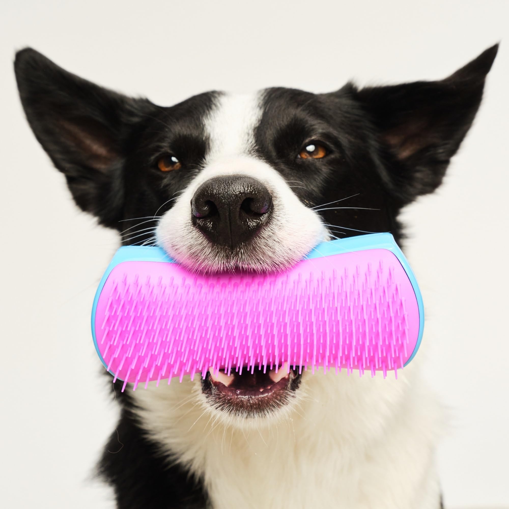 Pet Teezer uso durante el baño, desenreda y suaviza el pelaje húmedo.