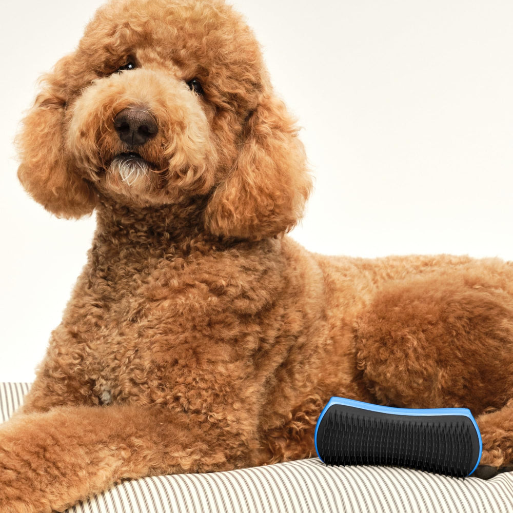 Pet Teezer envase sostenible, embalaje responsable durante la transición.