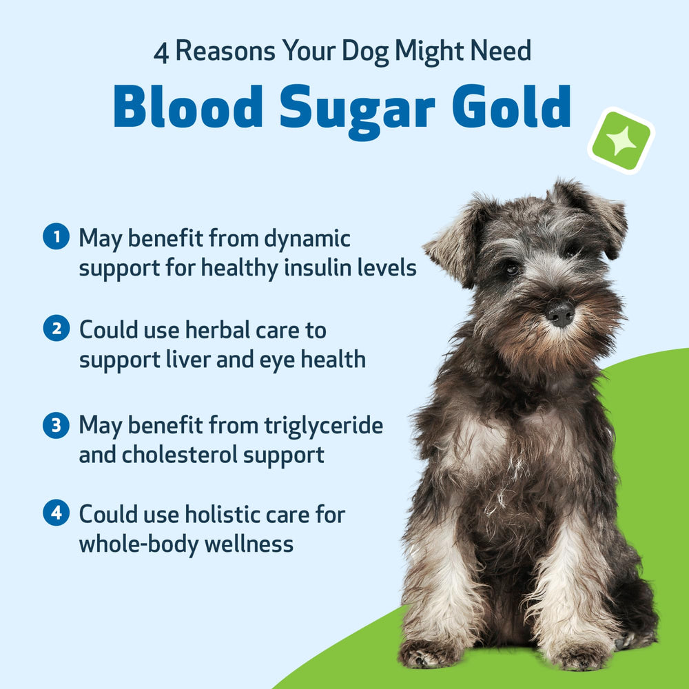 Club del Diablo en la formulación de Pet Wellbeing Blood Sugar Gold para apoyo digestivo.
