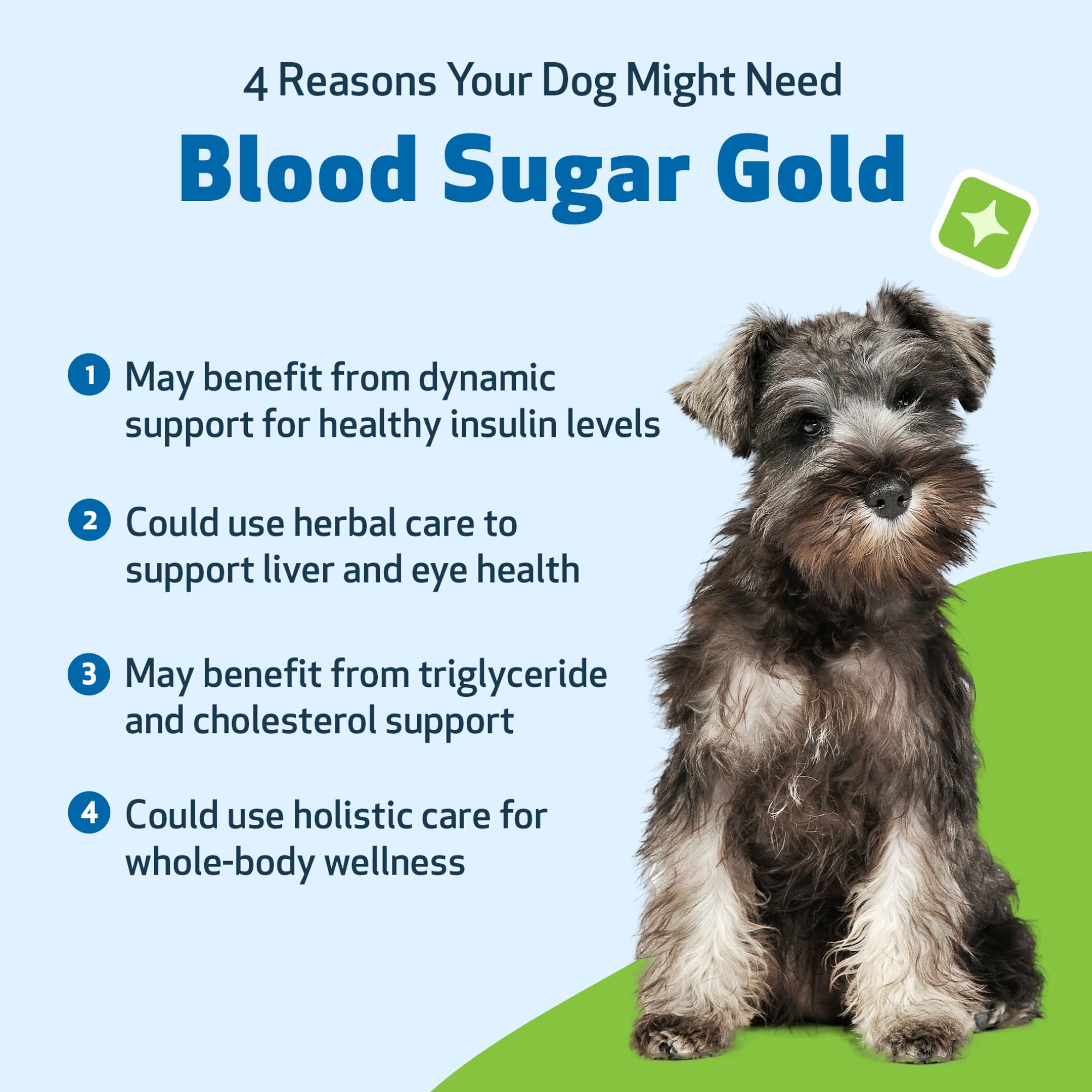 Pet Wellbeing Blood Sugar Gold para perros, porciones seguras, manejo responsable para el cuidado diario.