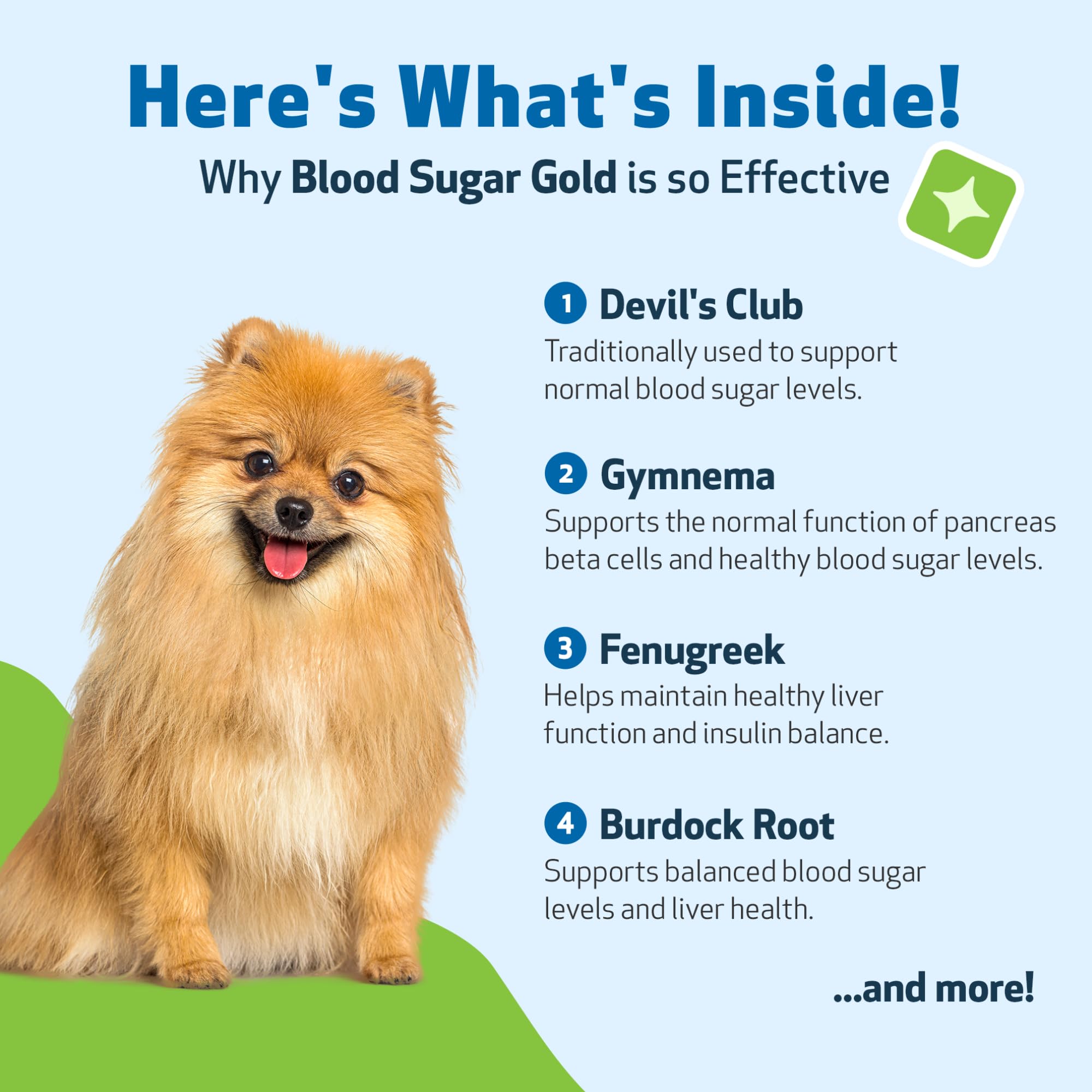 Etiqueta de Pet Wellbeing Blood Sugar Gold mostrando ingredientes herbales clave.