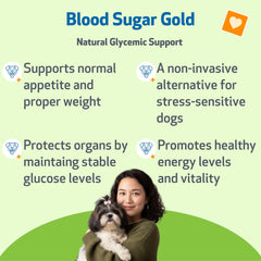 Gotero de Pet Wellbeing Blood Sugar Gold para dosificar con precisión en la comida.