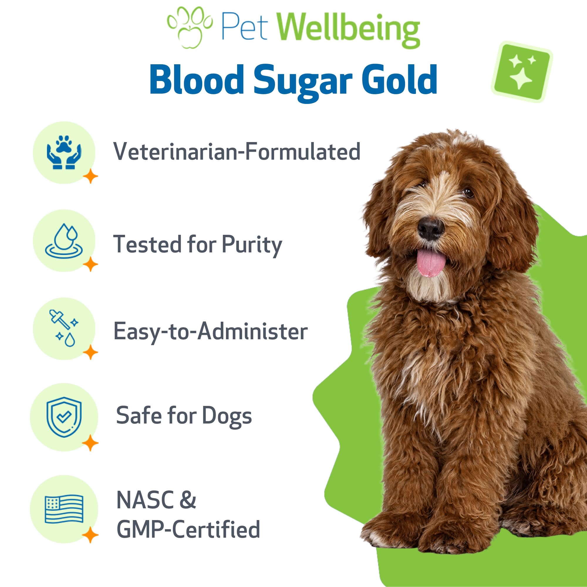 Perro senior usando Pet Wellbeing Blood Sugar Gold como parte de la rutina diaria.