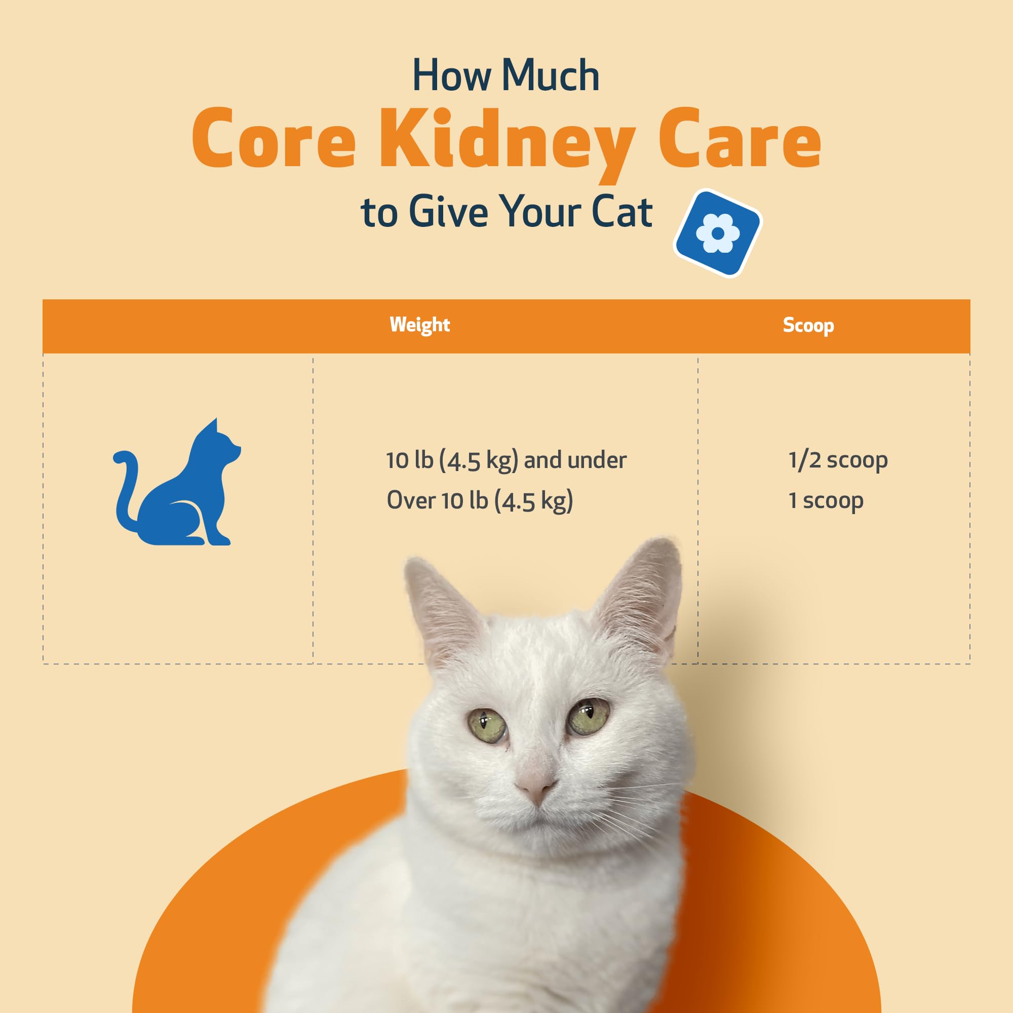 Pet Wellbeing Core Rinon Apoyo Renal Diario, fácil de incorporar a la rutina.
