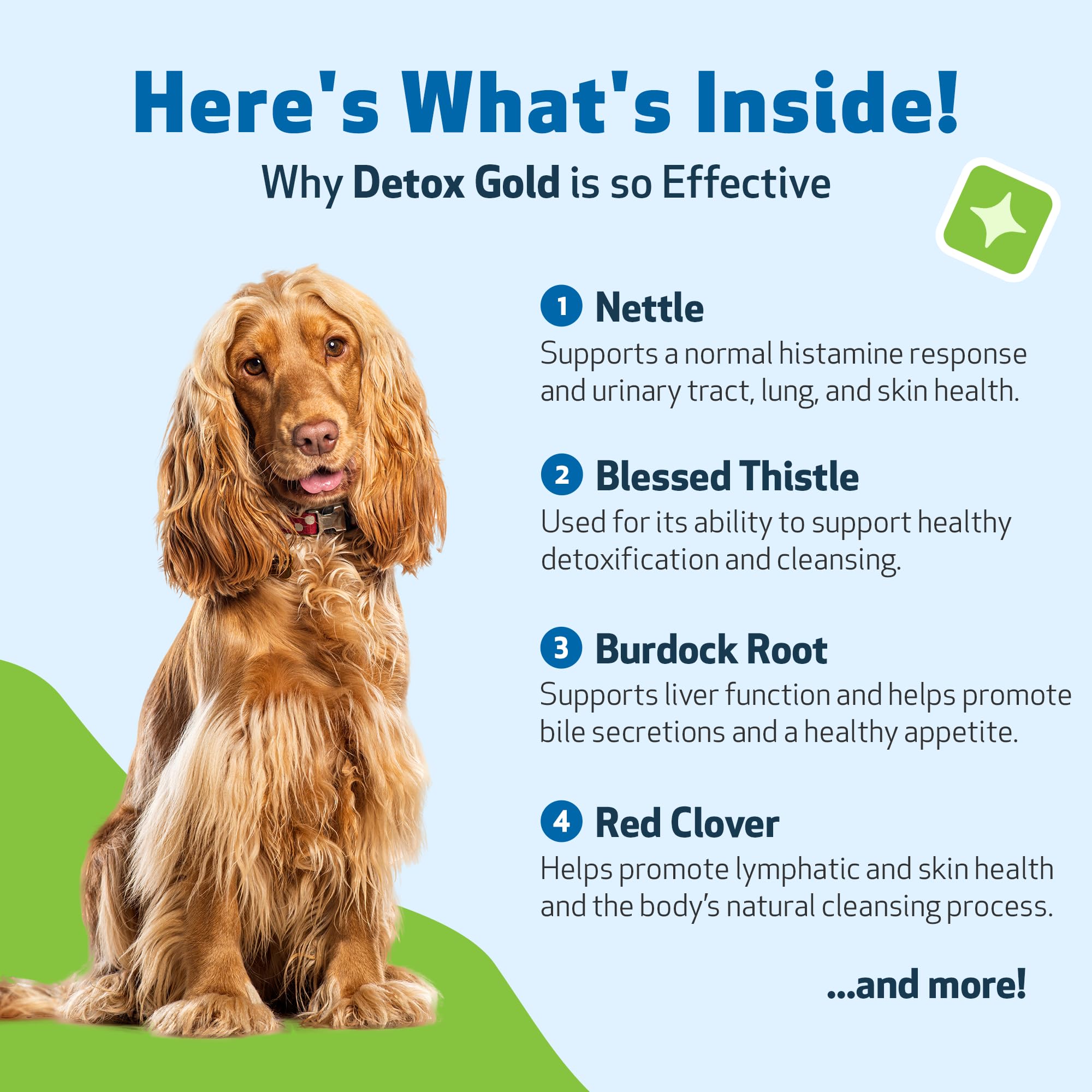 Bardana en Pet Wellbeing Detox Gold, ingrediente detoxificante suave.