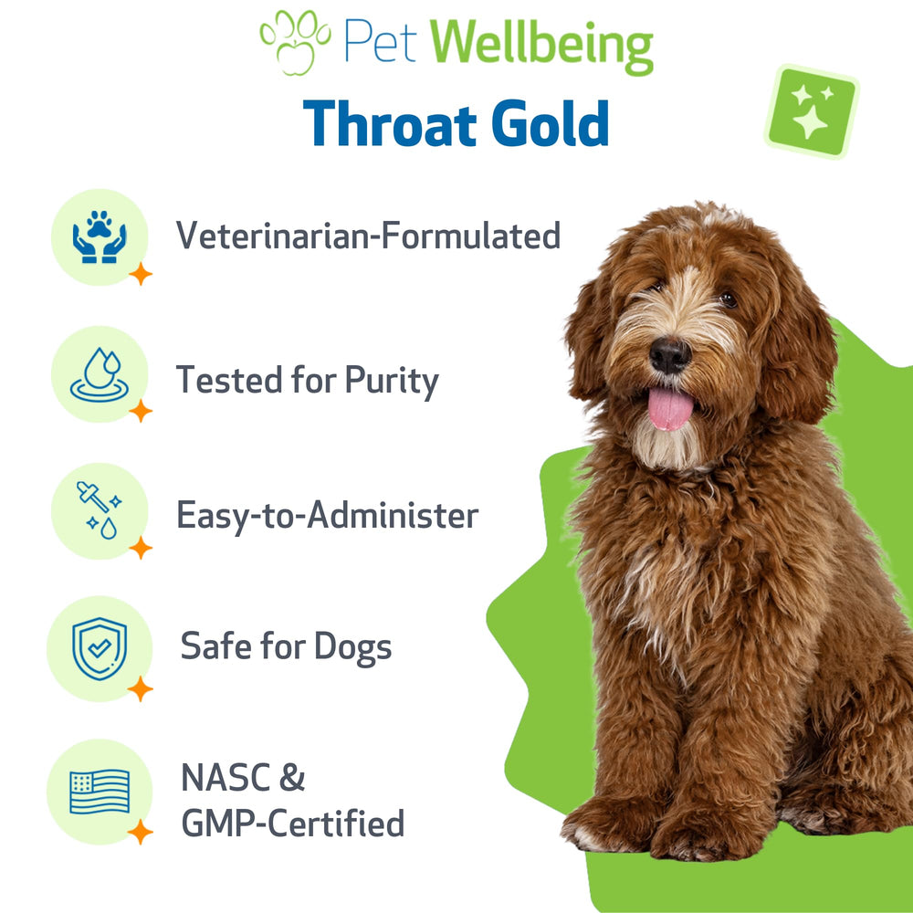 Pet Wellbeing Garganta Oro mano sosteniendo, fácil de administer al perro.