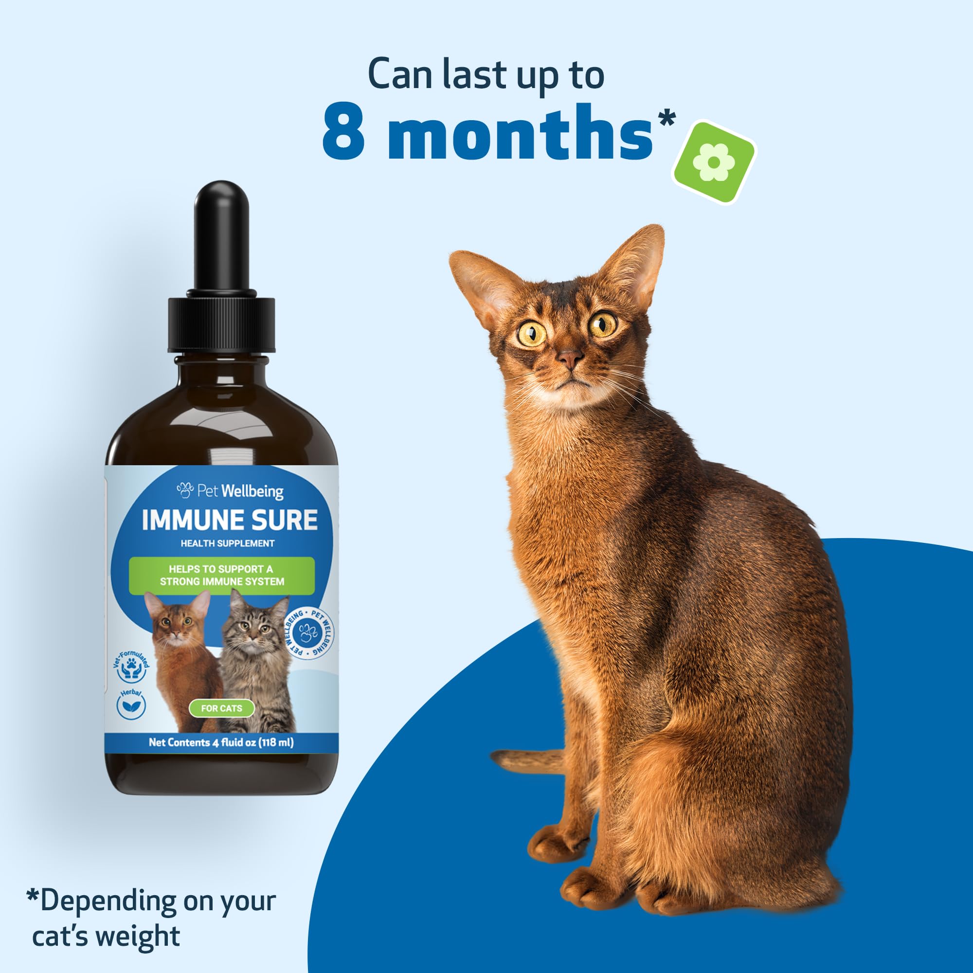Pet Wellbeing Immune Sure: gato activo y saludable gracias a la fórmula veterinaria.