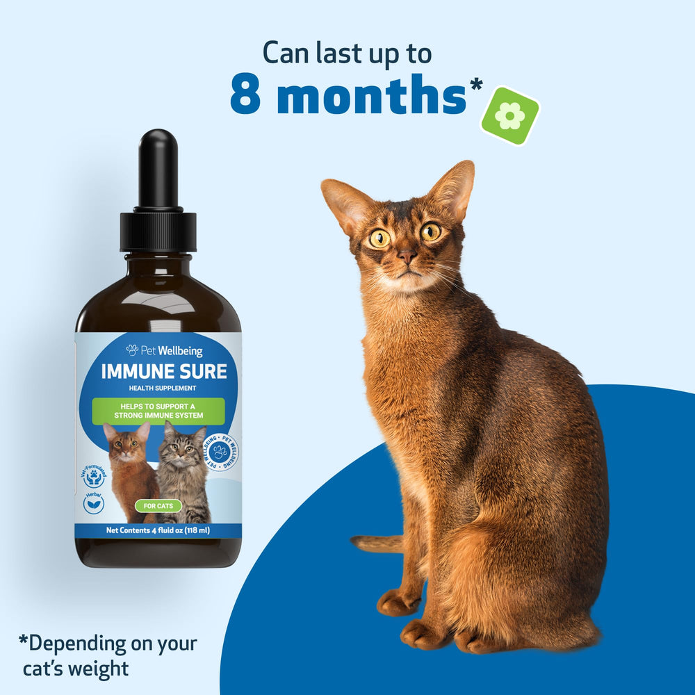 Pet Wellbeing Immune Sure: gato activo y saludable gracias a la fórmula veterinaria.