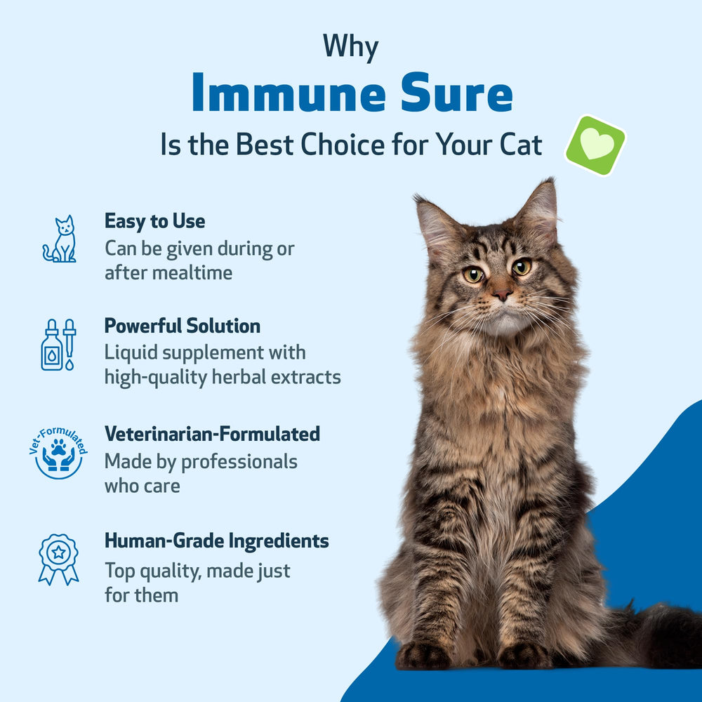 Vitamina C y zinc en Immune Sure para gatos, apoyo antioxidante