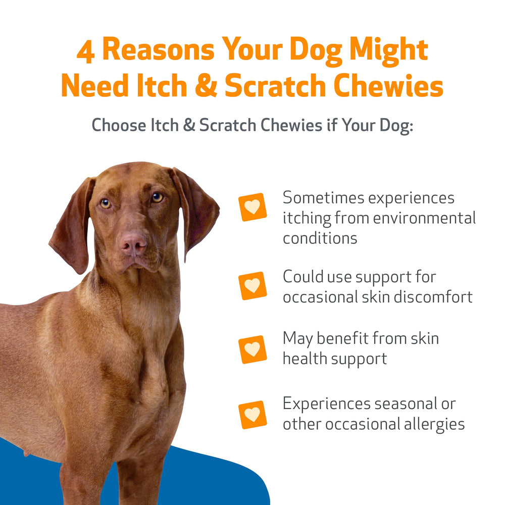 Pet Wellbeing Itch & Scratch Chewies: envase de 90 masticables para uso diario