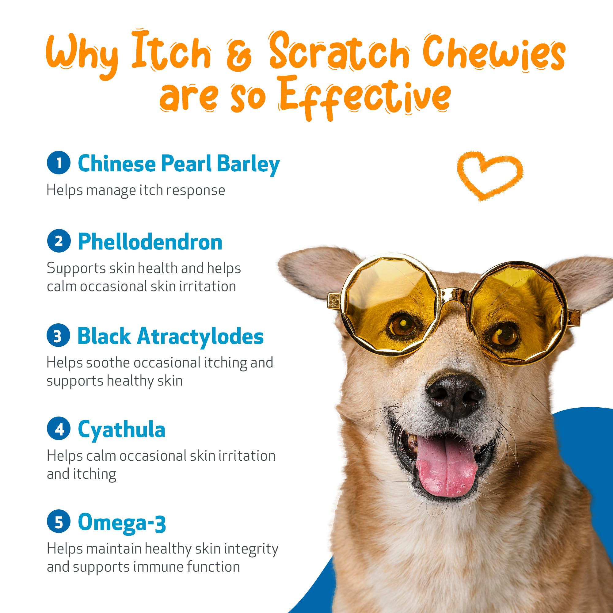 Pet Wellbeing Itch & Scratch Chewies: ingredientes herbales para apoyo cutáneo