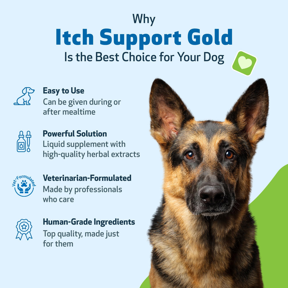 Pet Wellbeing Itch Support Gold puede ayudar a equilibrar la respuesta inmunitaria.