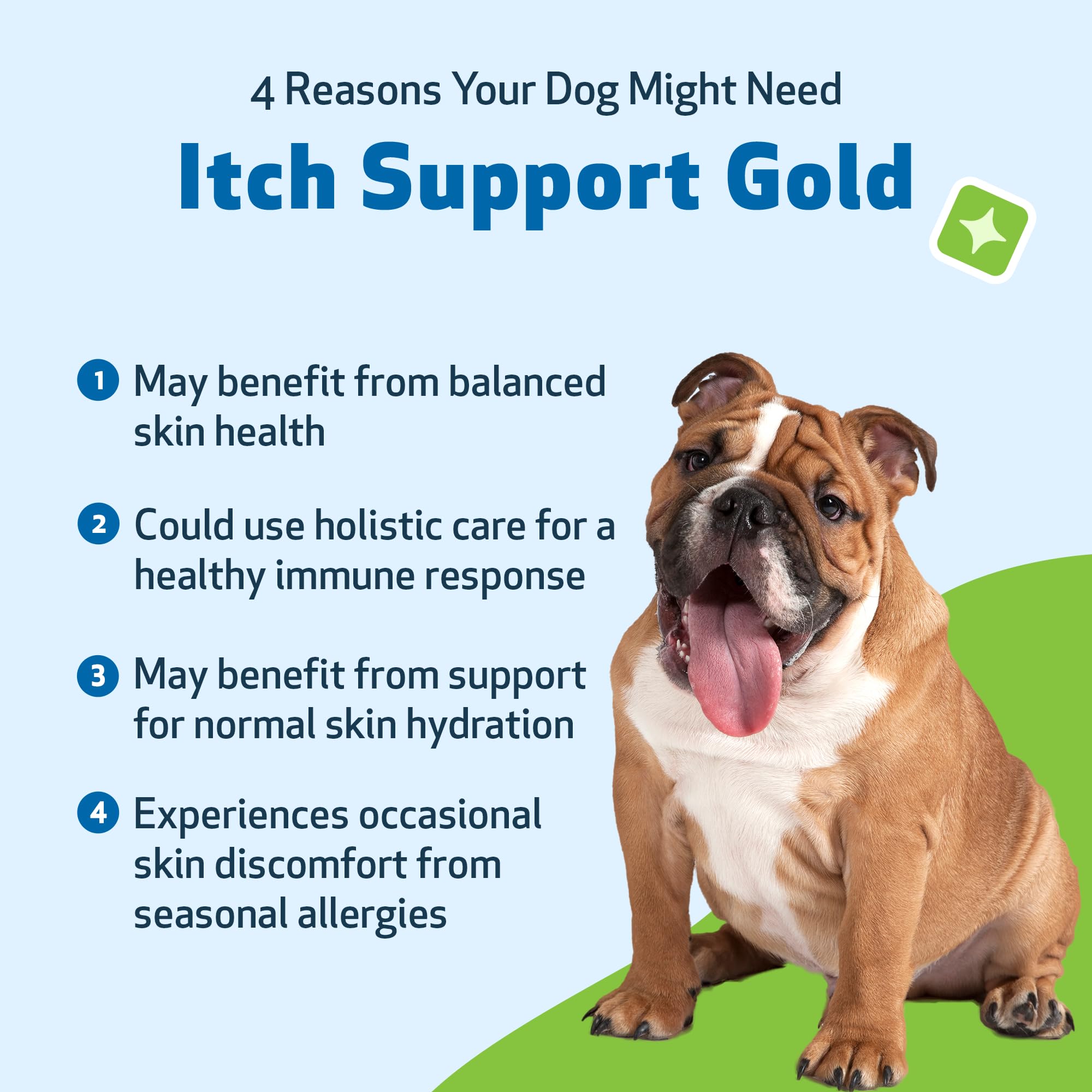 Pet Wellbeing Itch Support Gold ingredientes dong quai y rehmannia para piel suave.