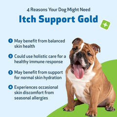 Pet Wellbeing Itch Support Gold ingredientes dong quai y rehmannia para piel suave.