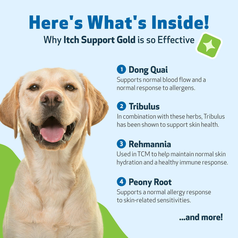 Pet Wellbeing Itch Support Gold piel más cómoda y sana.