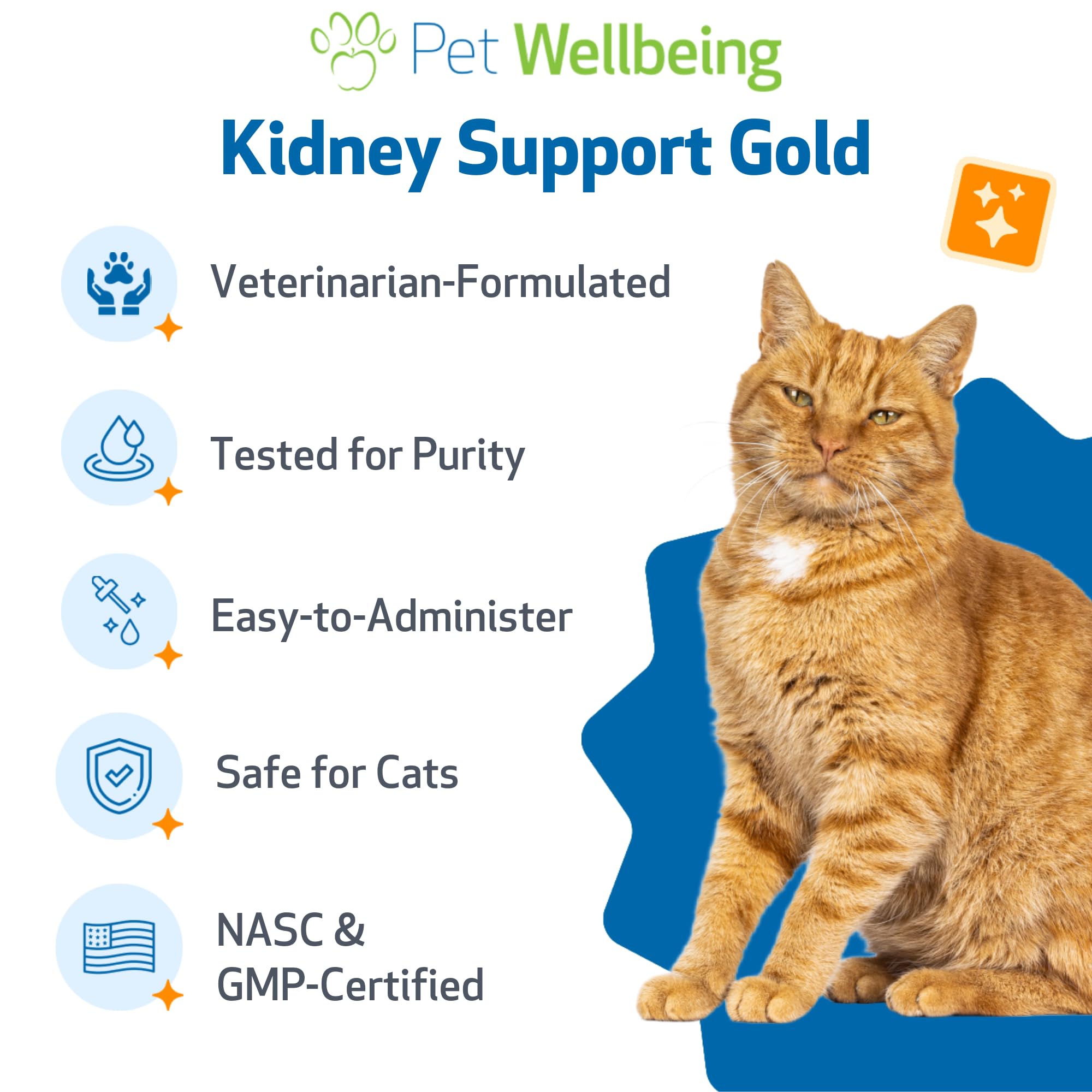 Formulado por veterinarios para Pet Wellbeing Kidney Support Gold, cuidado confiable.