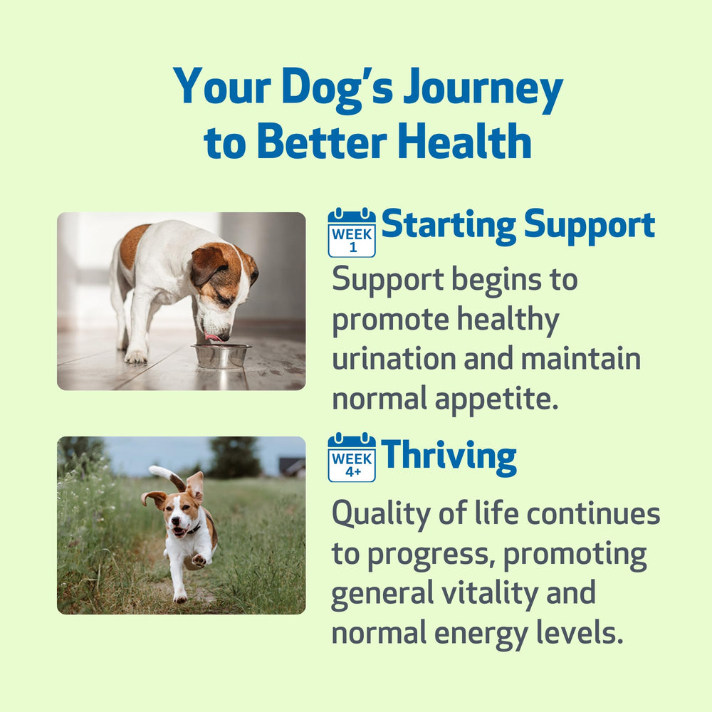 Pet Wellbeing Kidney Support Gold, sello de calidad: producido en EE. UU.