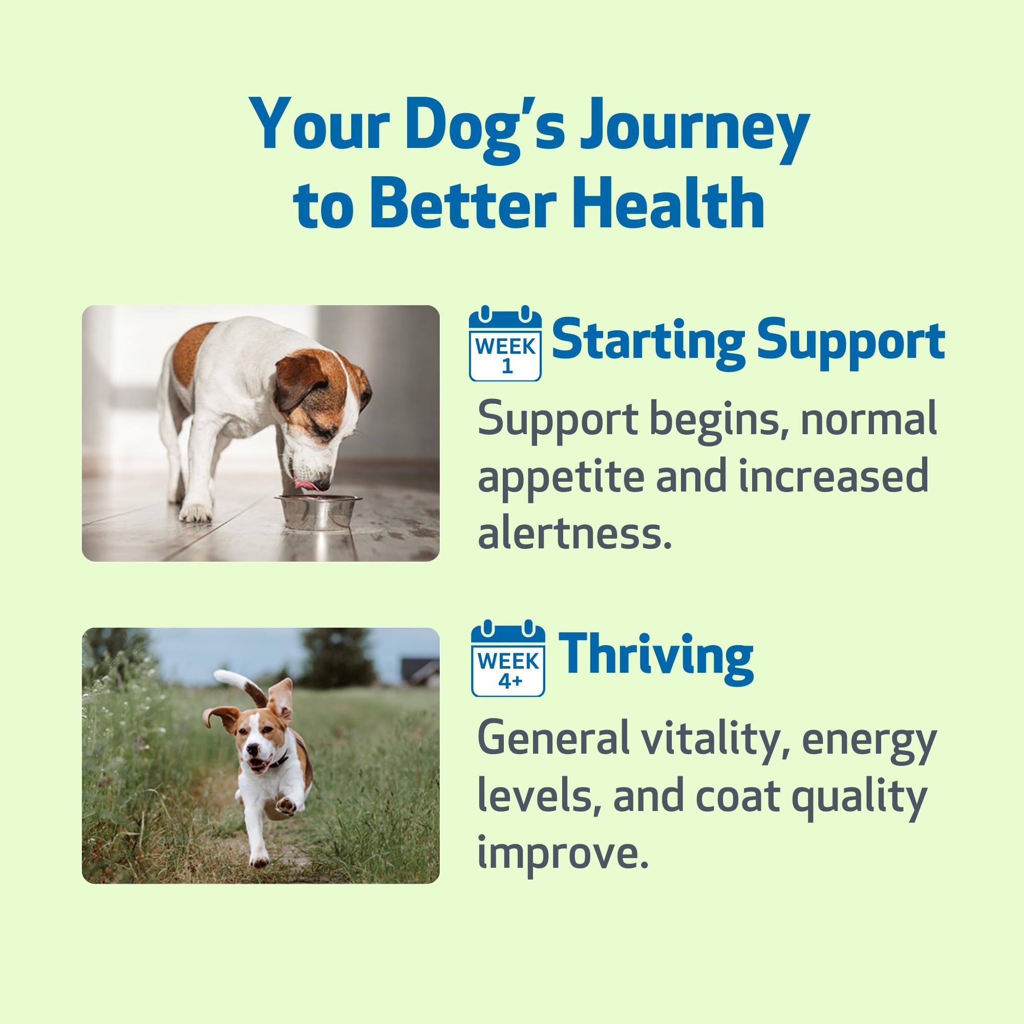 Pet Wellbeing Life Gold, garantía de devolución para tu tranquilidad.