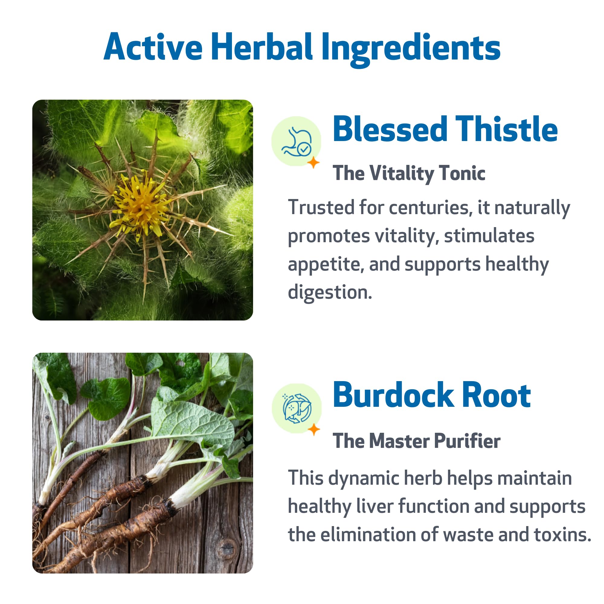 Pet Wellbeing Life Gold, hierbas naturales, foco herbal para la vitalidad.