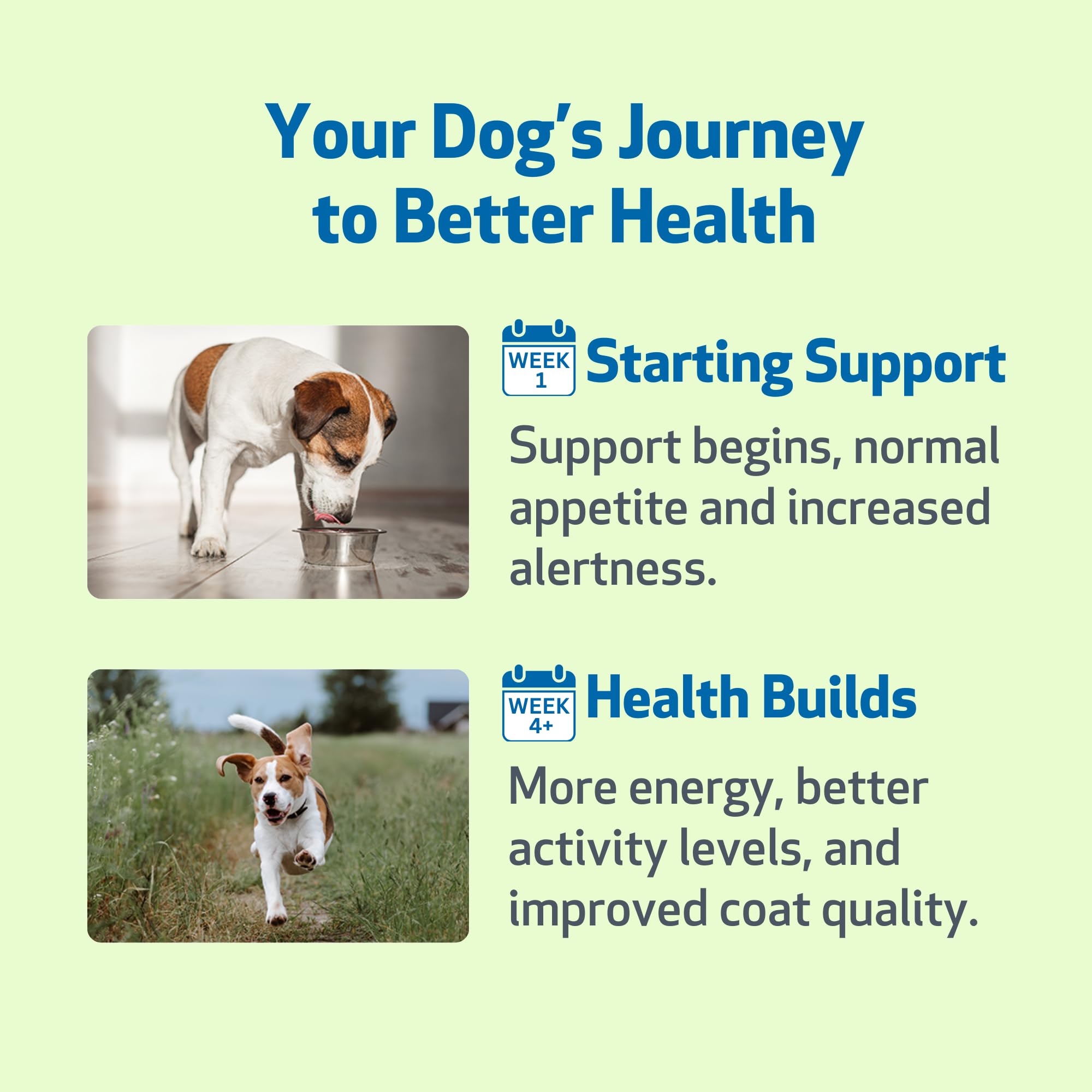 Pet Wellbeing Milk Thistle para perros, ingredientes — certificado NASC y calidad