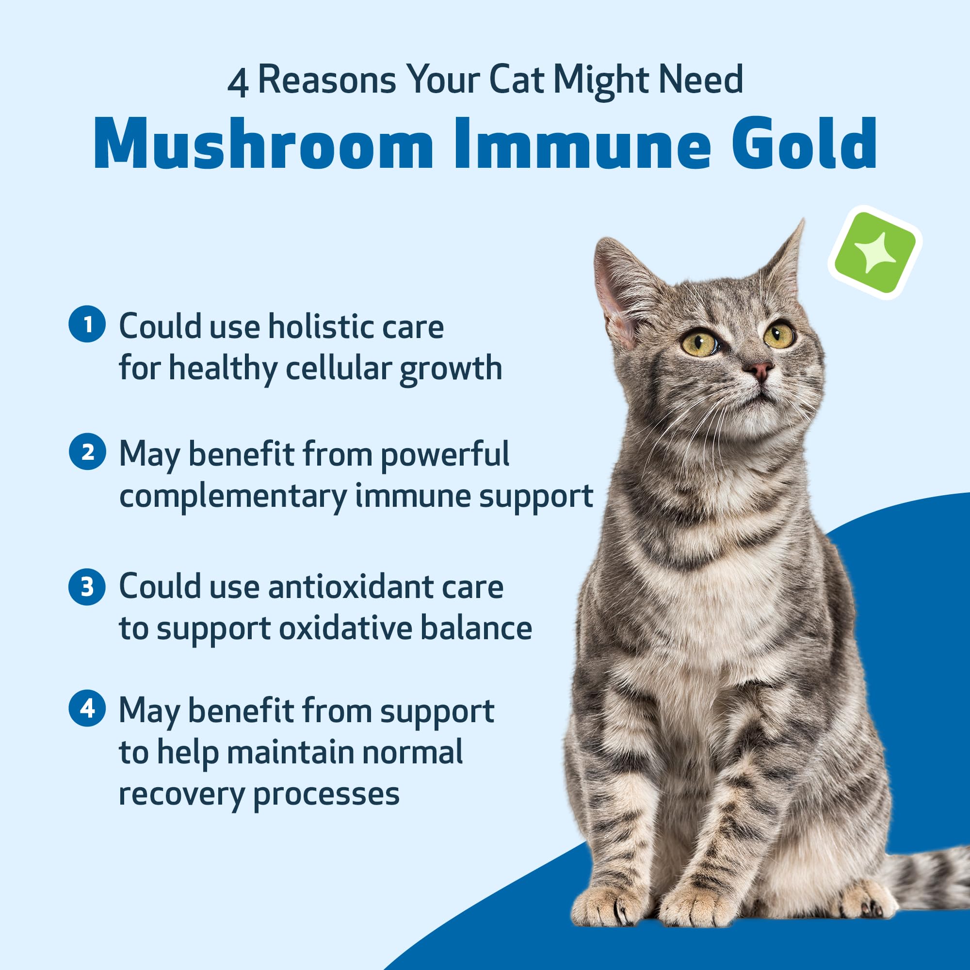 Pet Wellbeing Mushroom Immune Gold frasco con etiqueta, soporte a respuestas inmunes normales.
