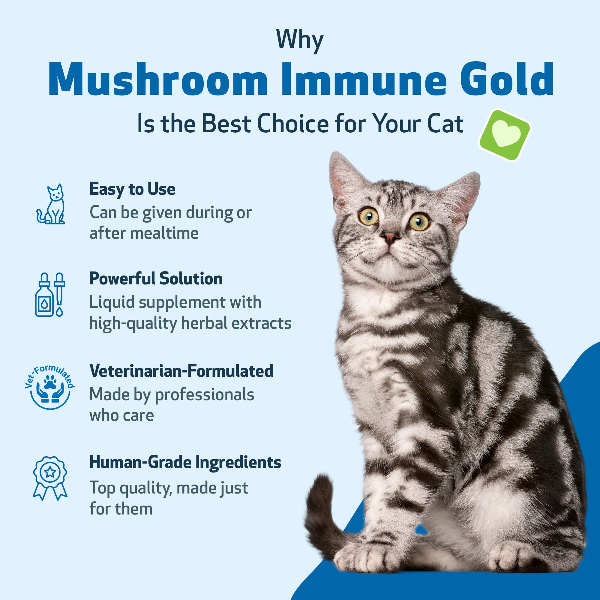 Pet Wellbeing Mushroom Immune Gold frasco de 8 onzas para gatos, confort diario.