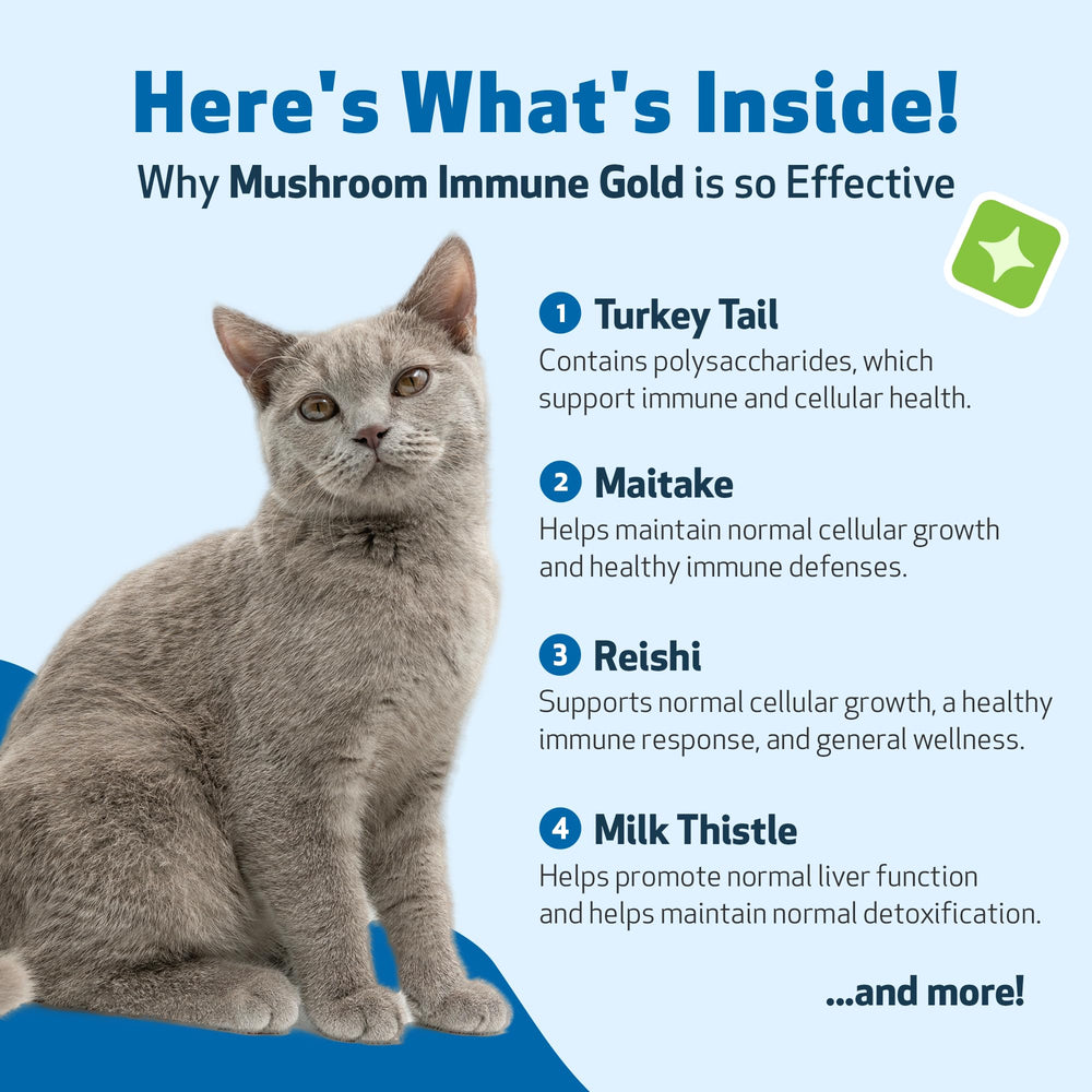 Pet Wellbeing Mushroom Immune Gold sabor tocino, facilita la toma para gatos.