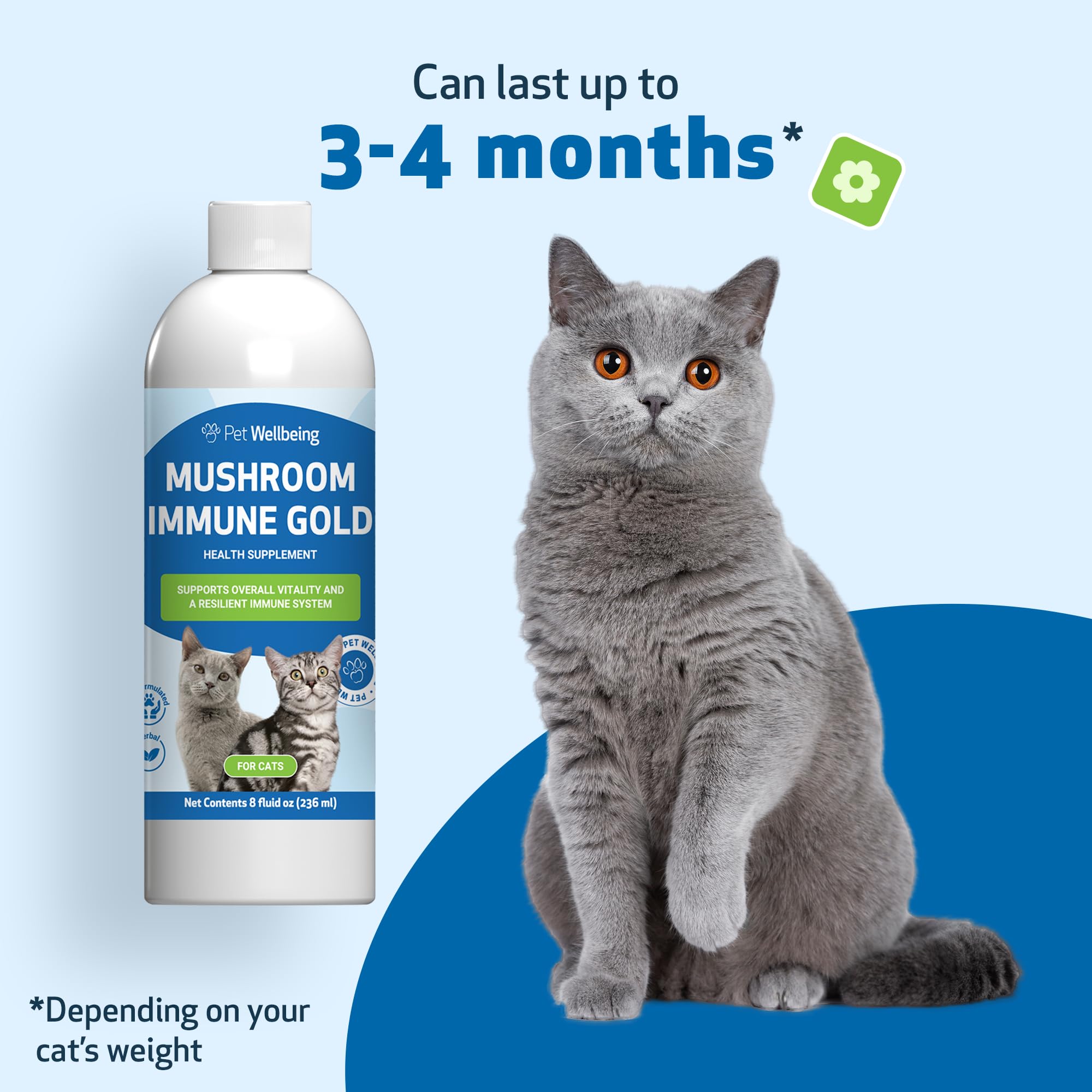 Pet Wellbeing Mushroom Immune Gold para gatos, ideal para uso diario en la dieta.