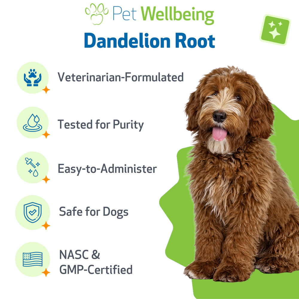 Pet Wellbeing perro junto al cuenco, suplemento natural para salud diaria