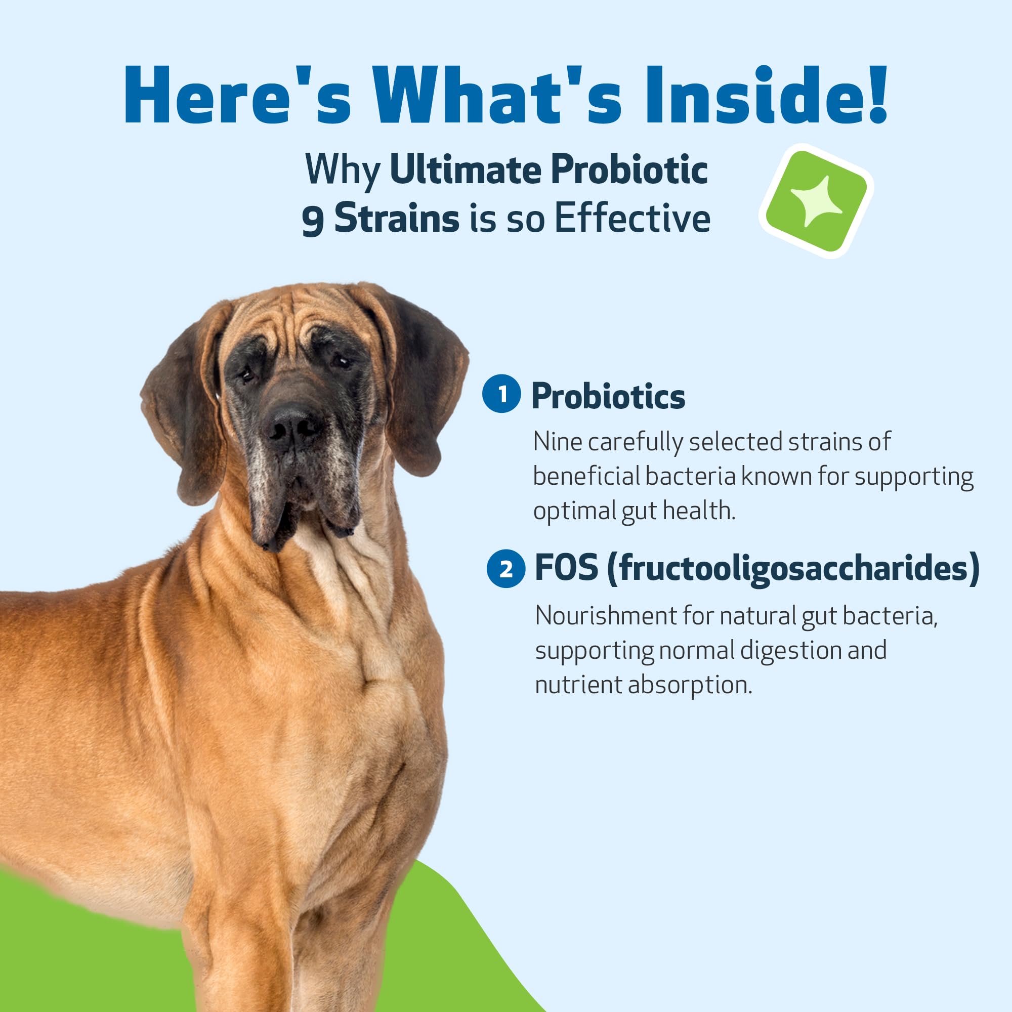 Pet Wellbeing probiótico 9 cepas, polvo mezclado en comida para apoyo digestivo.