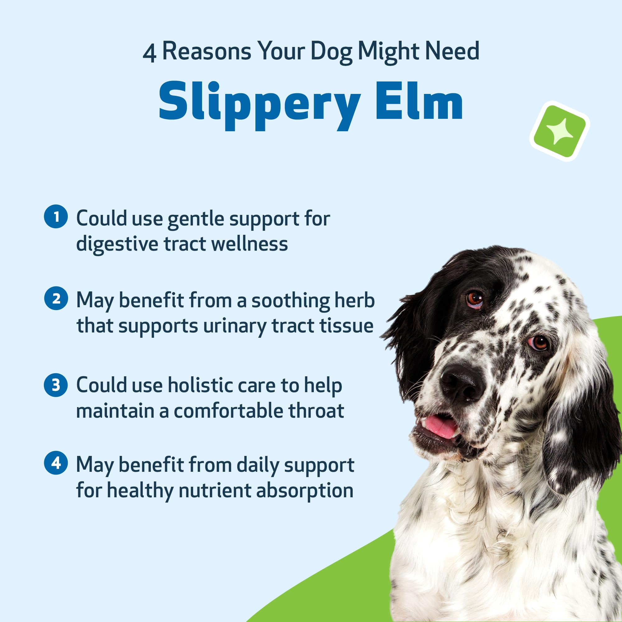 Pet Wellbeing Slippery Elm, complemento simple para apoyo digestivo.