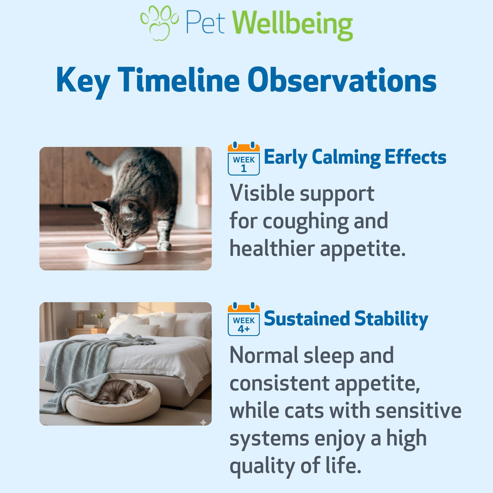 Pet Wellbeing Slippery Elm, aplicacion-ritual, uso diario para bienestar felino.