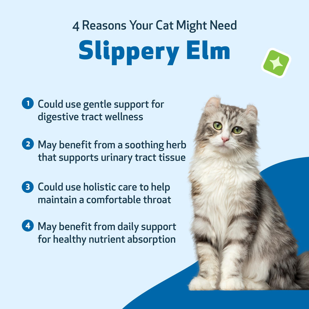 Pet Wellbeing Slippery Elm, textura-ligera, fácil administración para gatos exigentes.
