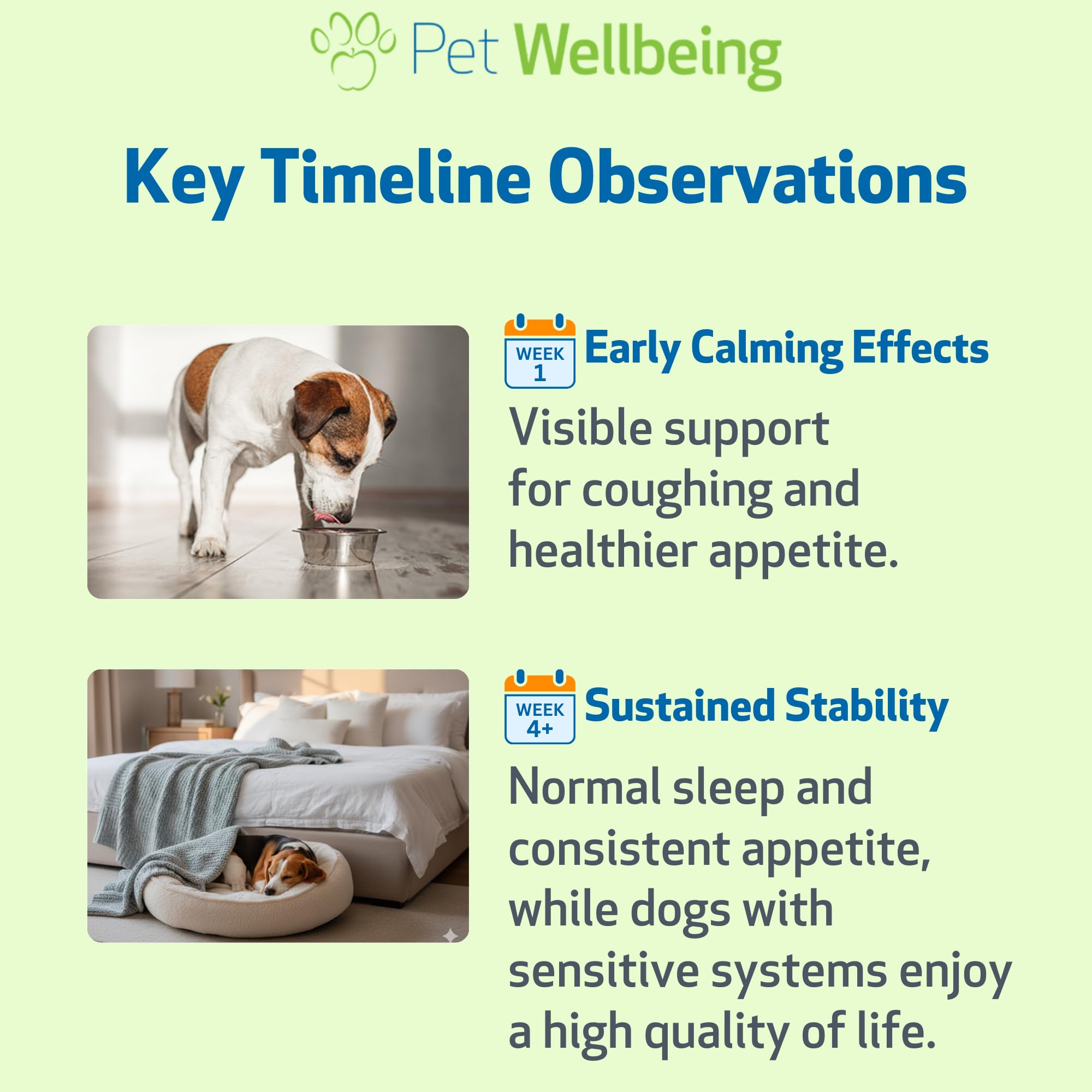 Pet Wellbeing Slippery Elm, formato líquido de fácil dosificación.