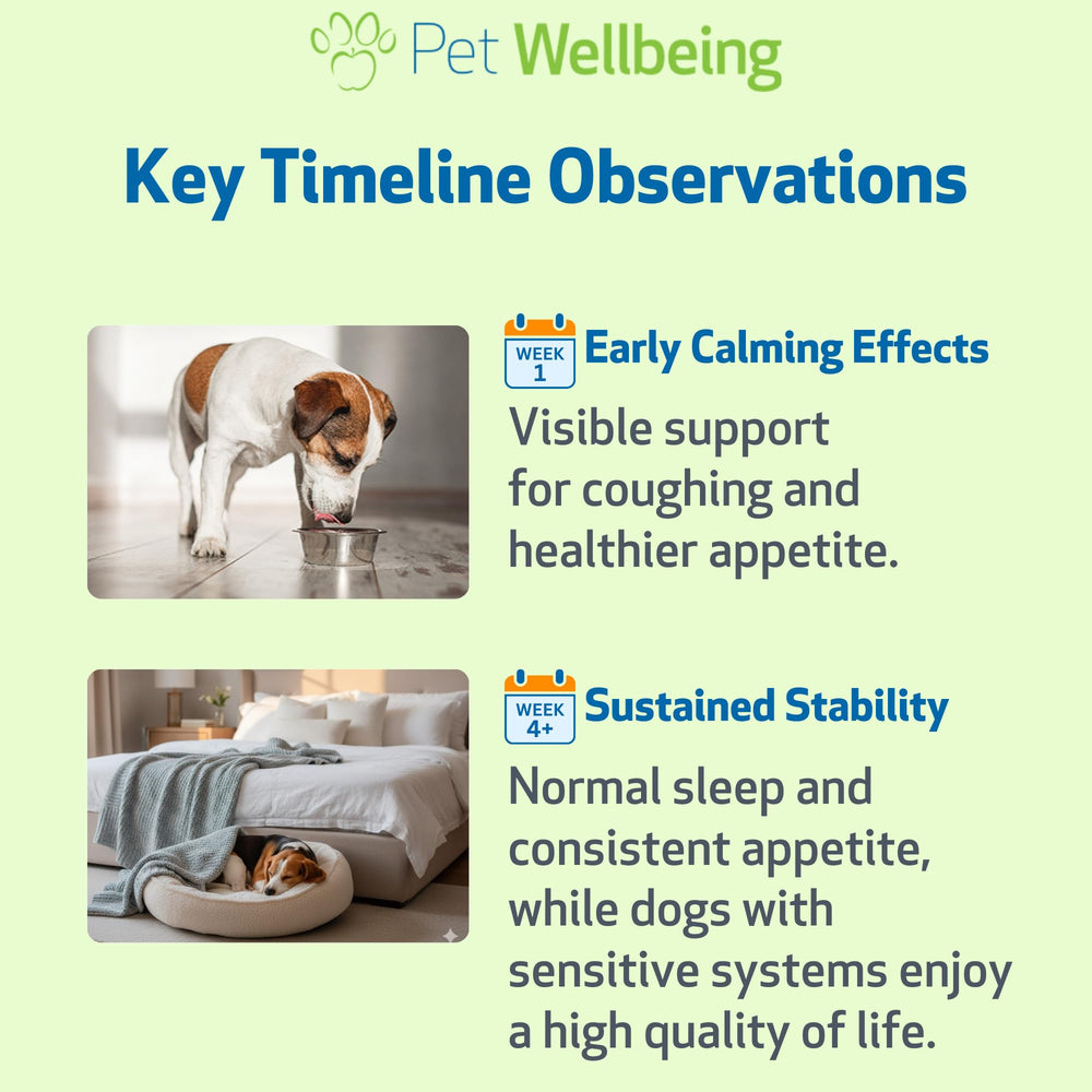 Pet Wellbeing Slippery Elm, formato líquido de fácil dosificación.