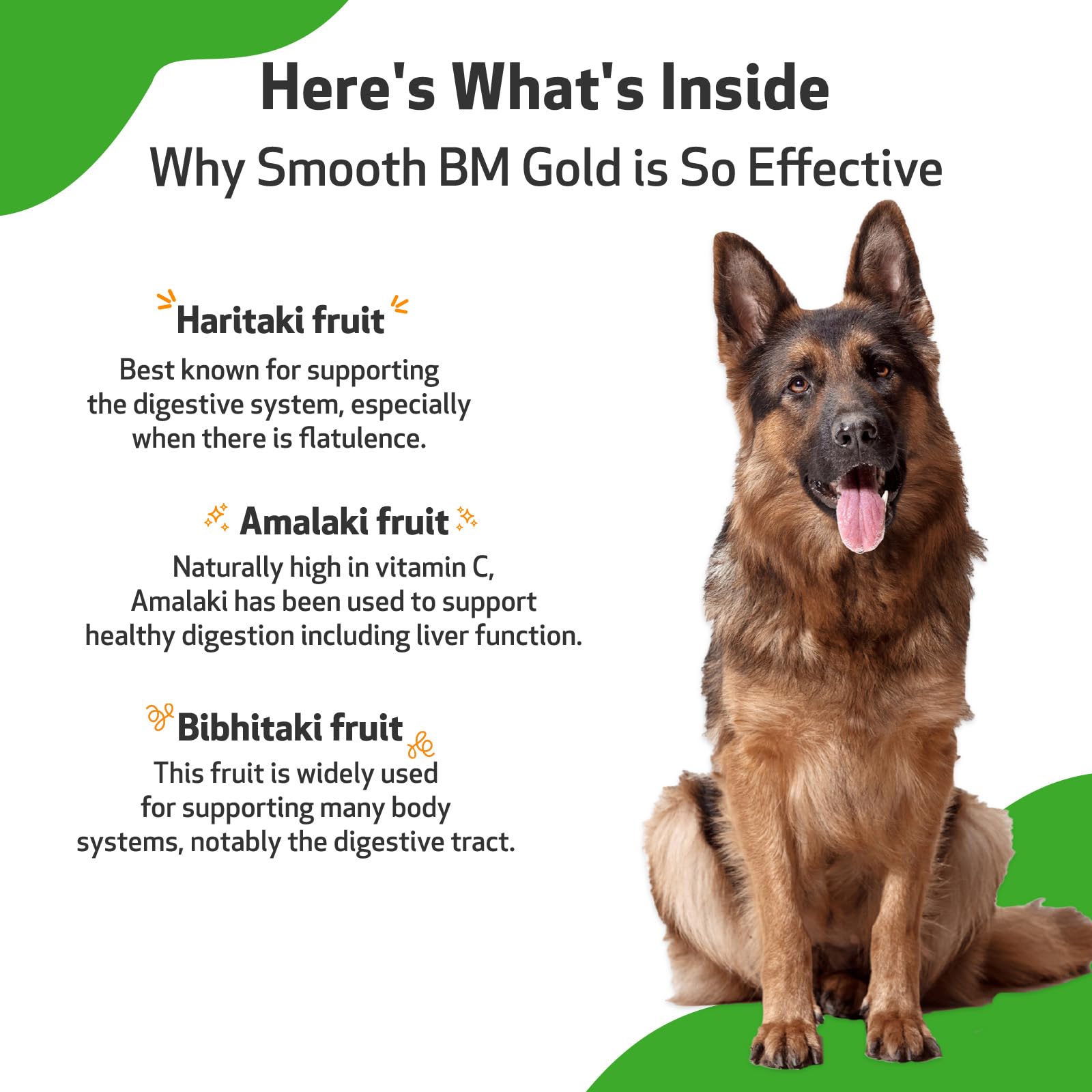 Pet Wellbeing Smooth BM Gold, formula-herbal tradicional para bienestar digestivo.